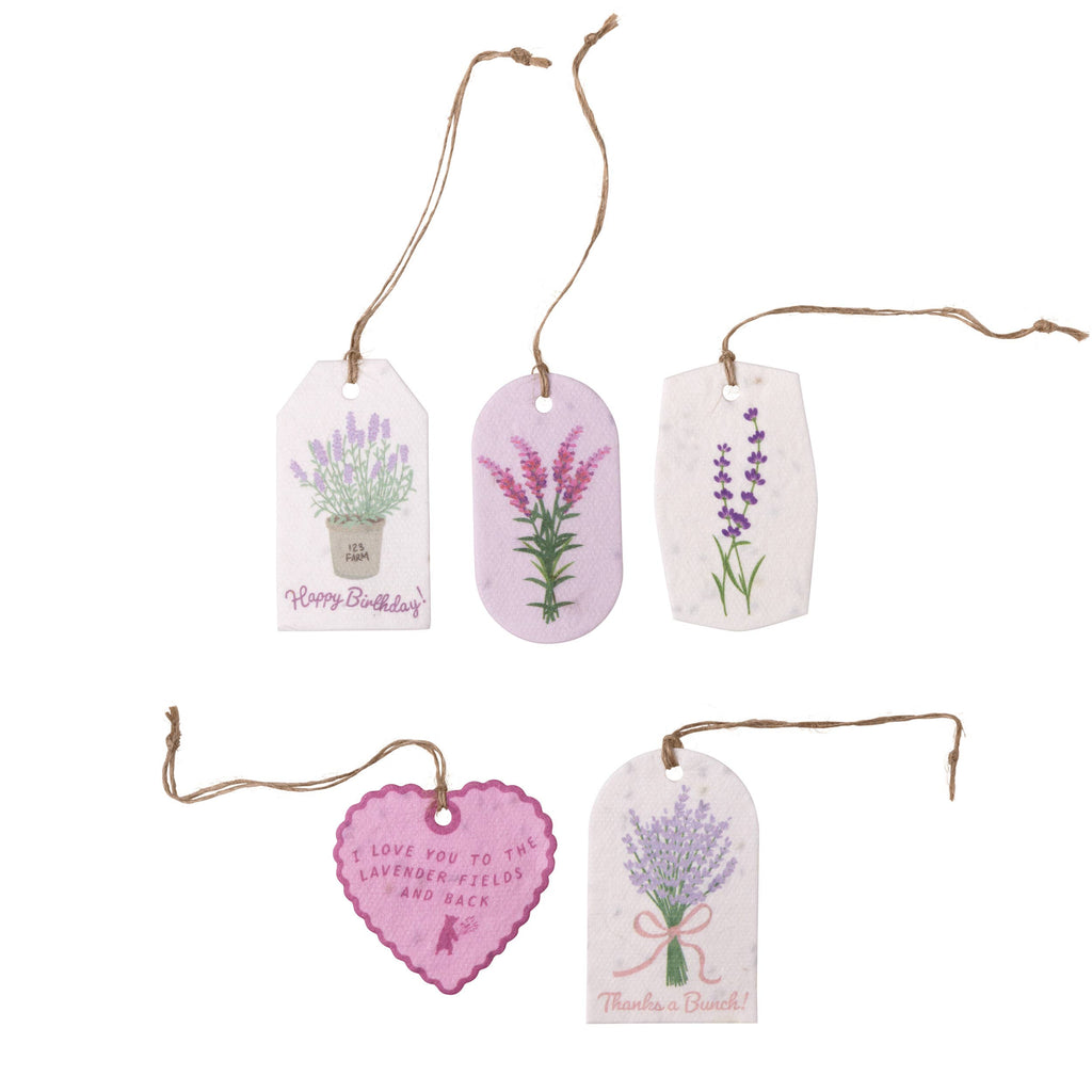 Plantable Seed Gift Tags - Vintage Seed Design, 5 Gift Tags: Daisies