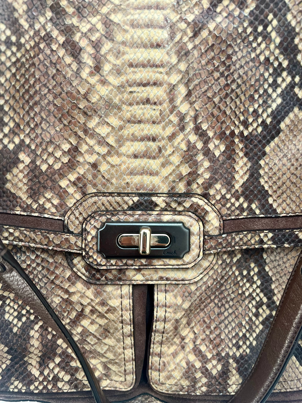 Coach Chelsea Flagship Bag