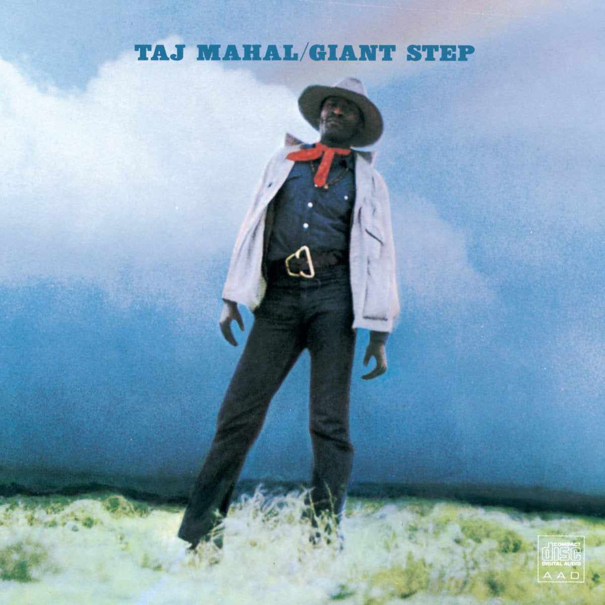 Taj Mahal - Giant Step/ De Ole Folks at Home