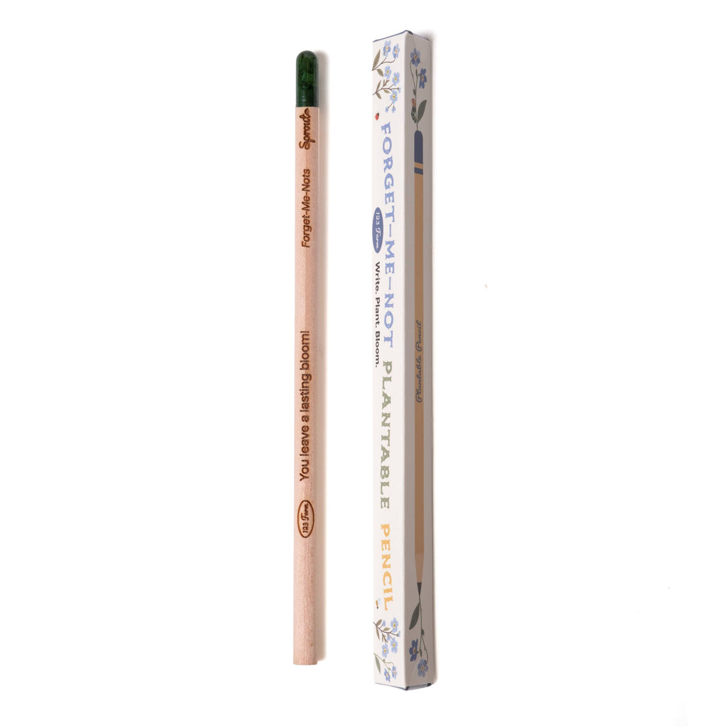 Forget-Me-Knot Plantable Pencil – Eco-Friendly Gift